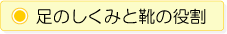 足のしくみと靴の役割