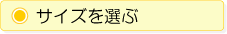 �T�C�Y��I��