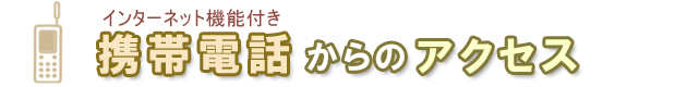�C���^�[�l�b�g�@�\�t���g�ѓd�b����̃A�N�Z�X