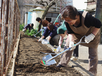 みまーもステーションの活動（公園の花壇づくり、収穫した野菜を使って食事会、草木染めに挑戦）１