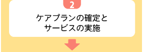 2ケアプランの確定とサービスの実施