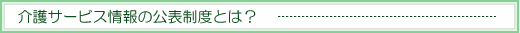 介護サービス情報の公表制度とは？