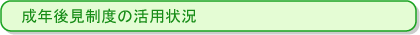 成年後見制度の活用状況