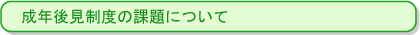 成年後見制度の課題について