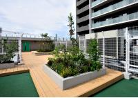 花や野菜を育てています。