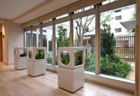 中庭が見える開放的な空間です。