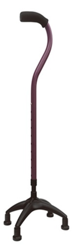 �}�O�l�V�E��4�_��Neo